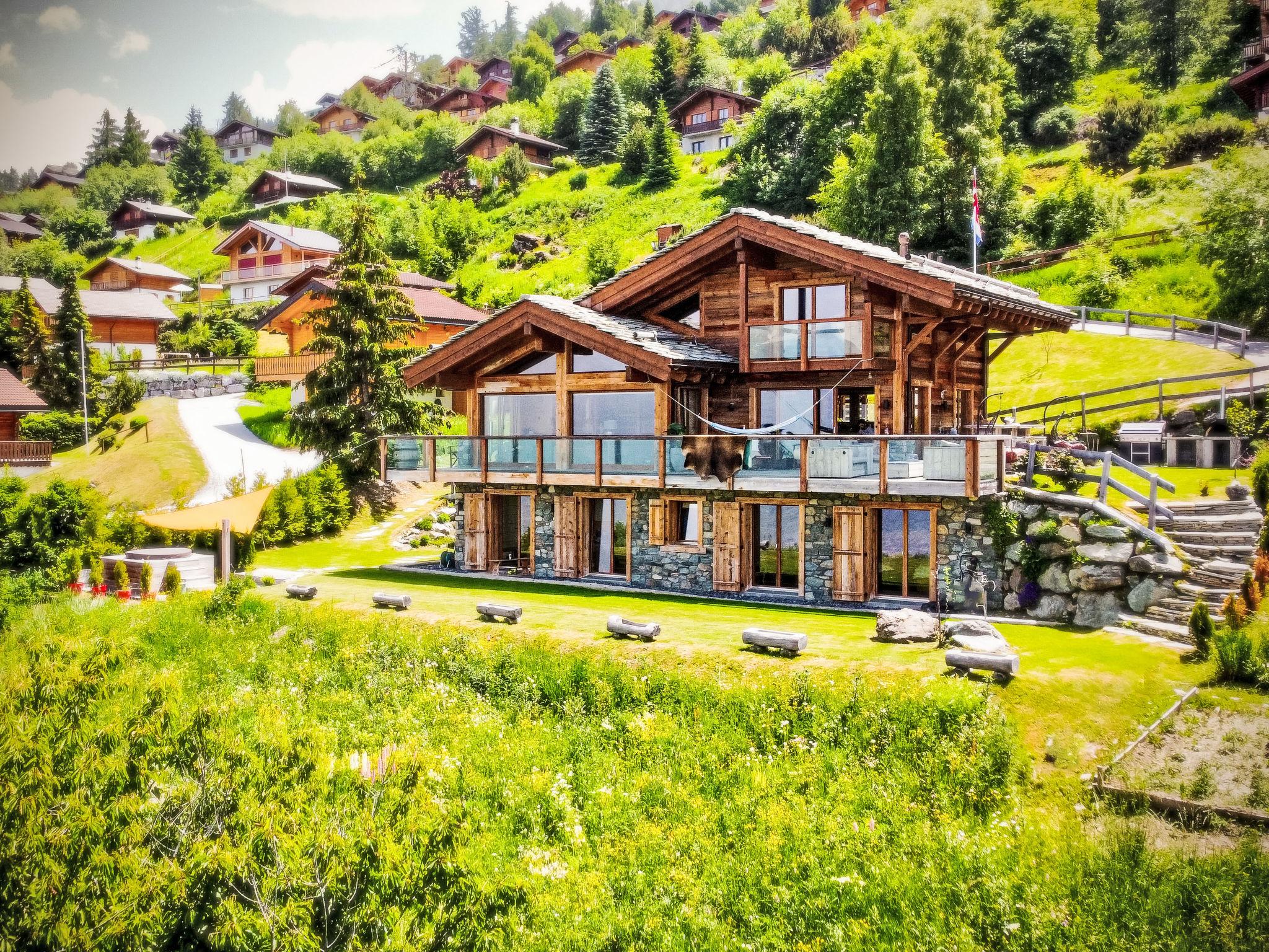 gestione chalet e case vacanza a Nendaz
