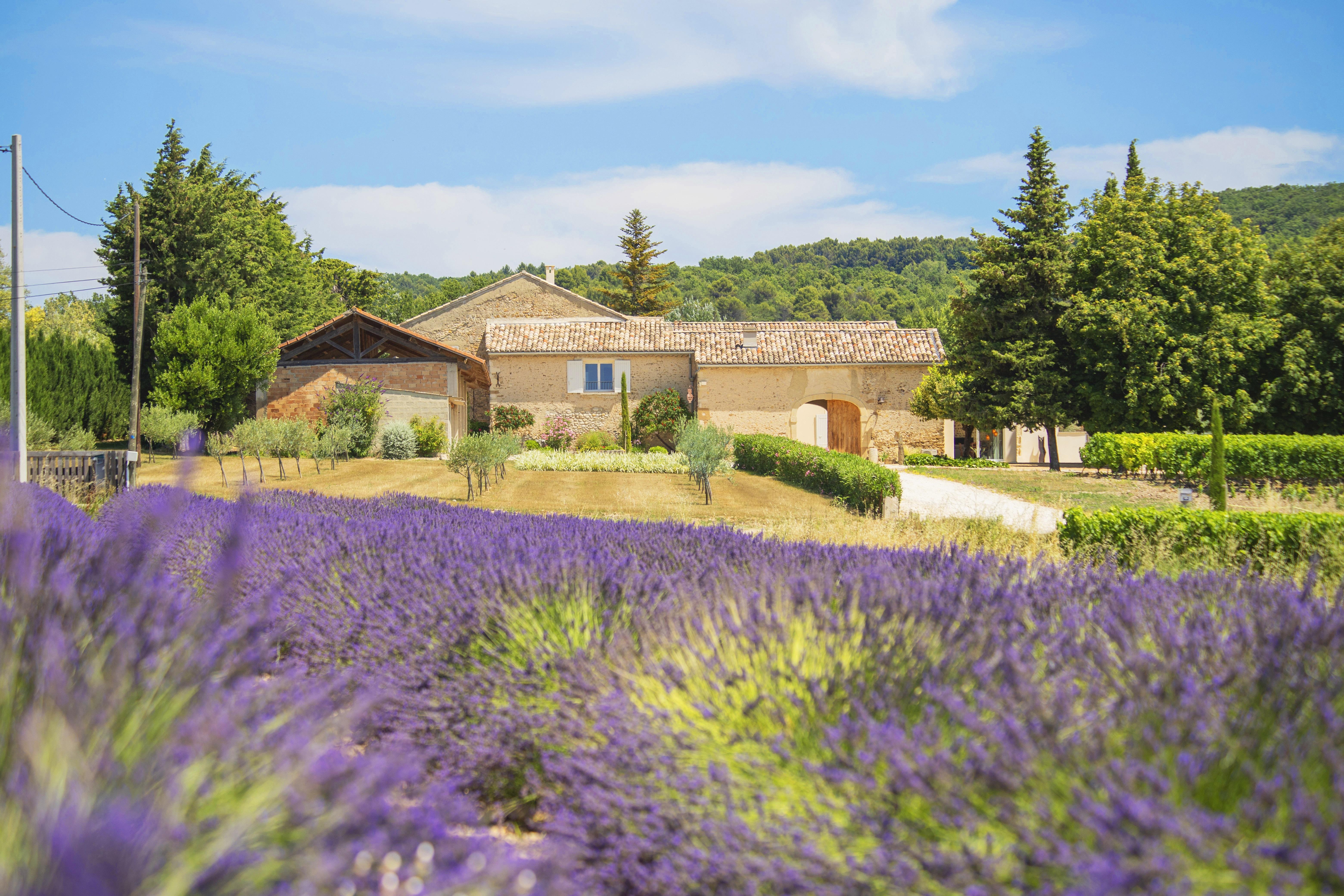Interhome_FR8096.648.1_HolidayHome_Valréas
